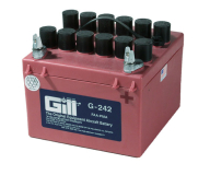 GILL G-242