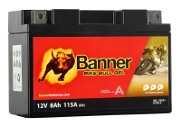 BANNER 50801 GT9B-4